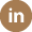 in-icon